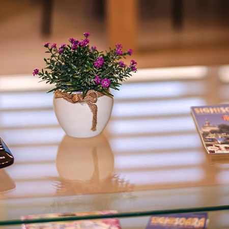 Schaessburg Apartment #1 ซิวิโชอารา ภายนอก รูปภาพ