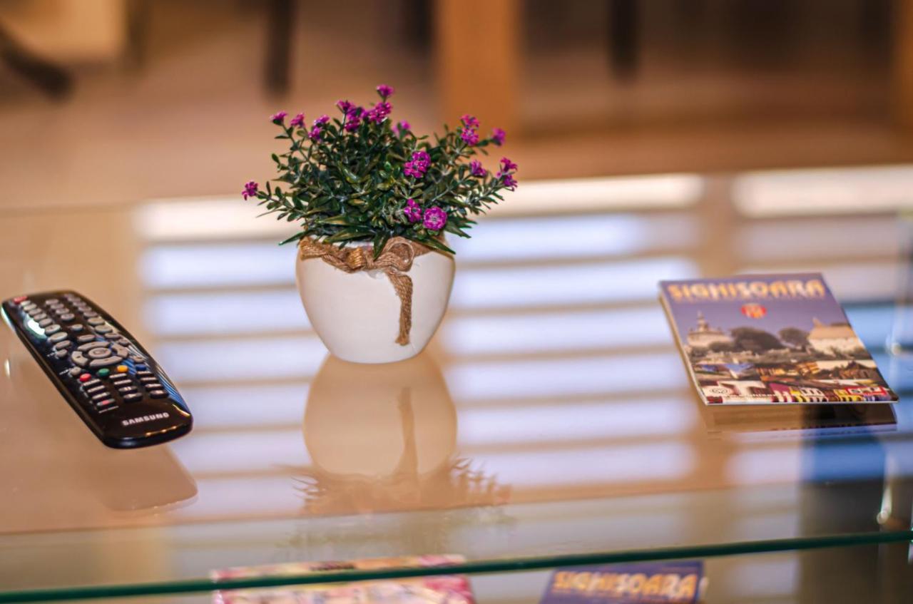Schaessburg Apartment #1 ซิวิโชอารา ภายนอก รูปภาพ